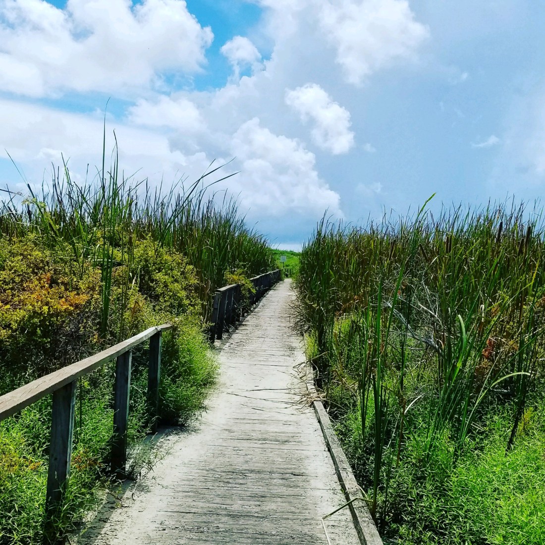 IMG_20180902_123417_216